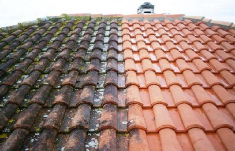 Démoussage de toiture dans les Alpes-Maritimes